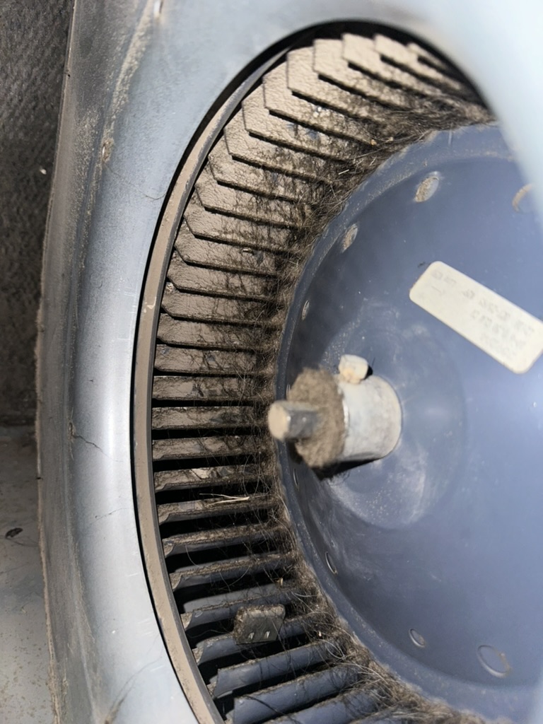 Dirty HVAC blower wheel covered in dust and debris